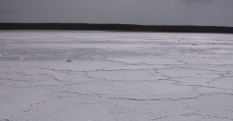 Фото Удивительное рядом №25